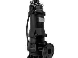 Motobomba Submersível WQ